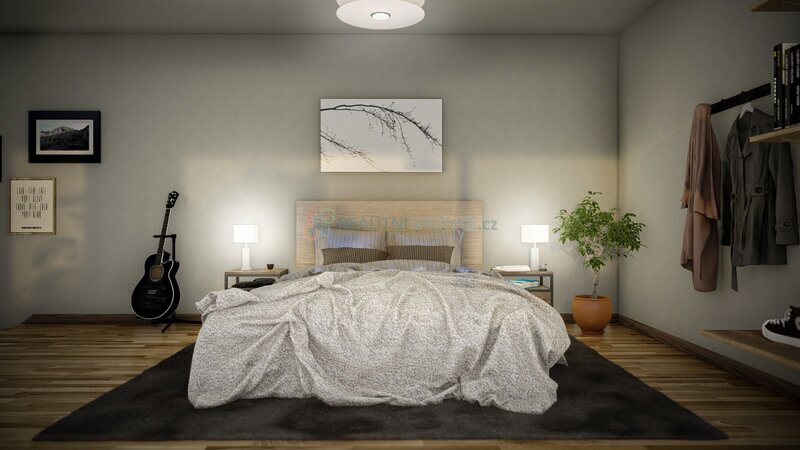 Prodej bytu 5+1 v Praze na Žižkově